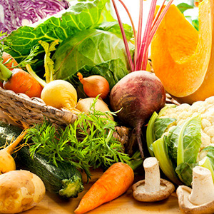素食 Vegetarian