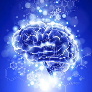 大脑 Brain